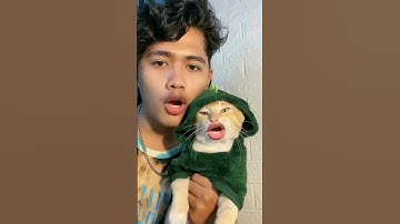 Thumbnail of Bongo Cha Cha Cha || The Ultimate Cat Nation :DK ||