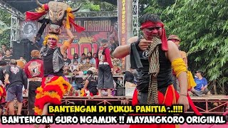 Panitia Ojo Main Pukul❗Banteng Suro Ngamuk Jaranan MAYANGKORO ORIGINAL Live Tondomulyo Puncu Kediri