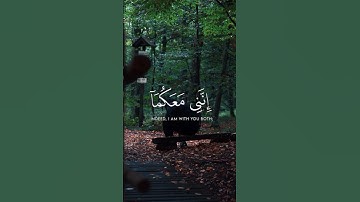 قال لا تخافا.-تلاوة هادئة تريح القلب #قرآن #قران_كريم #quran