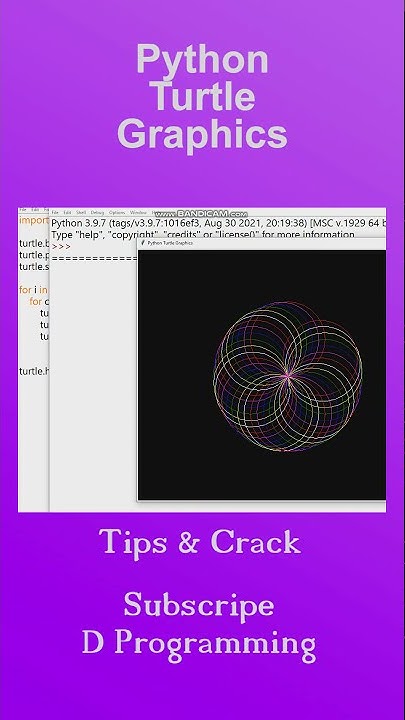 Python Turtle Circle Animation graphics - d programming - YouTube