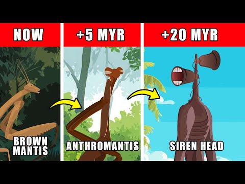 Siren Head Origin Evolution: How Siren Head Could Have Evolved