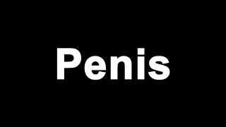 How to Pronounce Penis (American English)