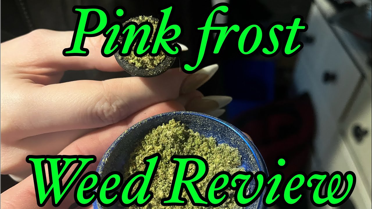 Pink Frost Weed Review - Sway Tokes W/ Bong Toke!