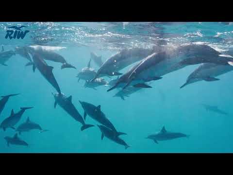 RIW Touristik - Reisen.Impressionen.Welten - Atlantische Inseln
