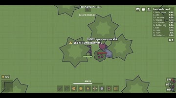 Bow Insta MooMoo.io