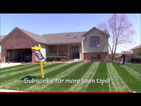 Lawn Striping|How To Mow Stripes In Your Lawn