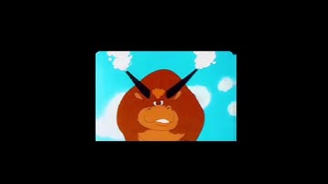 funny tigrigna  animation