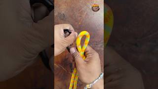 This simple trick will change how you use a carabiner forever! 🔥 #CarabinerTrick #OutdoorHacks