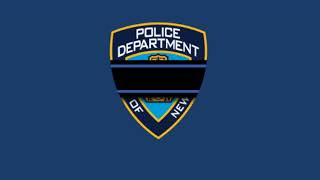 102 pct NYPD 02122019