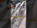 ¿Cuáles motosierras son mejores STHIL o HUSQVARNA? 🤔 #chainsaw #sthil #madara #asmr #woodworking