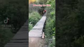 🤣 Mondays VS Fridays🤣