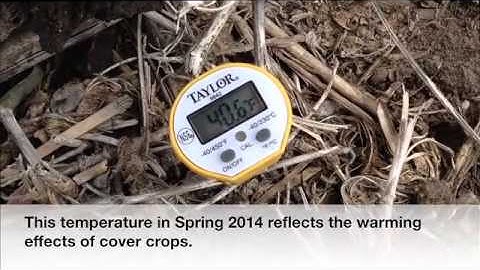 Taking Soil Temperature