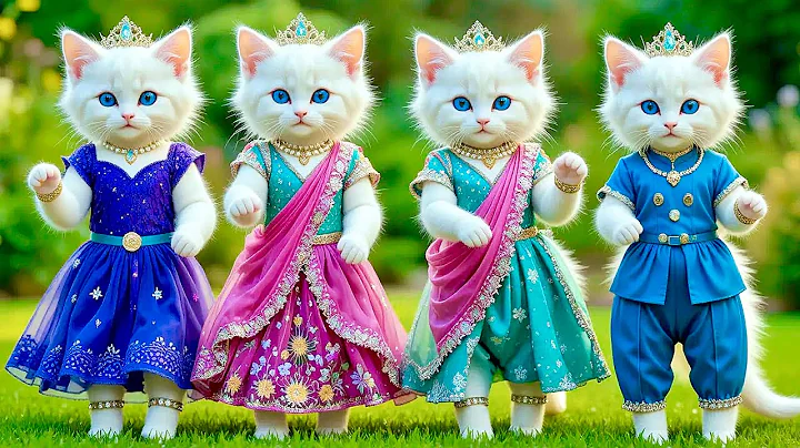 Video 11690901: kittens cat dance funny, cutest funniest cat dance, funnycatvideos