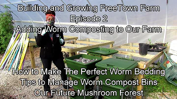 Building & Growing FreeTown Farm E2: Worm Composting & How to Make the Perfect Bedding & Mushrooms