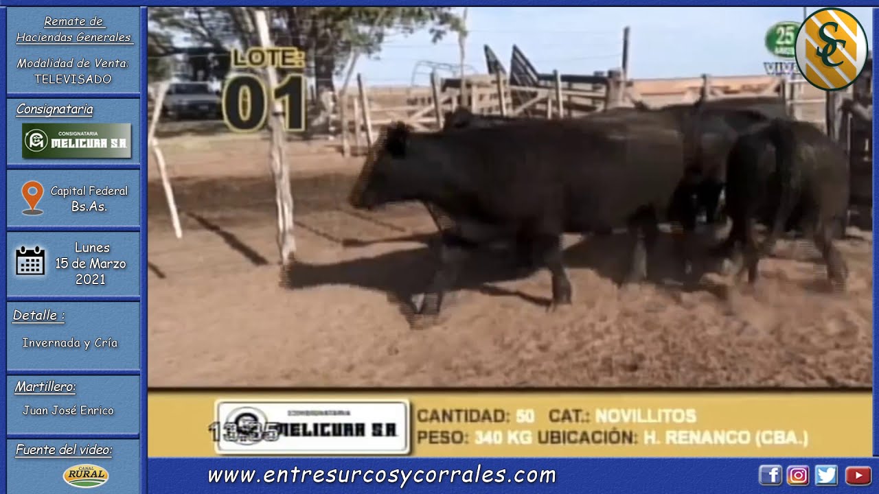 15-03-21 - Remate Televisado de Consignataria Melicurá - Capital Federal, Bs. As.