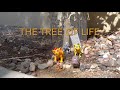 The Lion Guard saves the Tree of Life