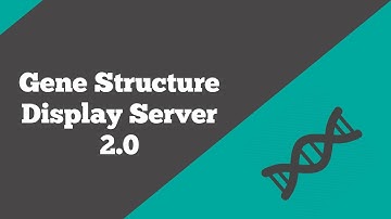 Bioinformatics: Gene structure display server | How to visualize a gene structure through GSDS