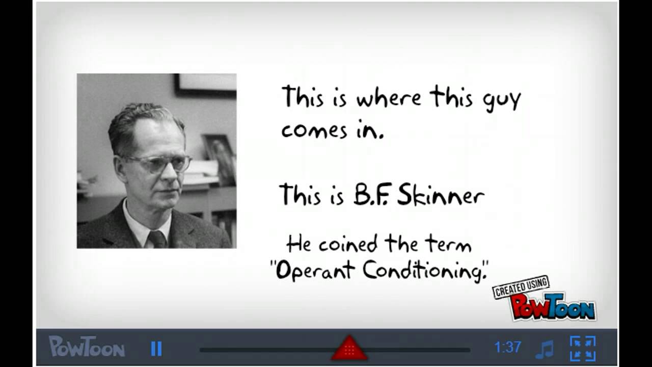 Clicker Training - Explained!