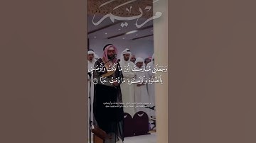 سورة مريم. تلاوة خاشعة للشيخ احمد النفيس. #قرآن