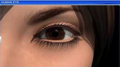 CBSE Class 12 Physics || Ray Optics and Optical Instruments Part -2 || Full Chapter || By Shiksha