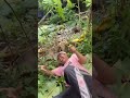 Ketendang Lagi #viralvideo #lucu #ngakak #comedy #funny #komedi