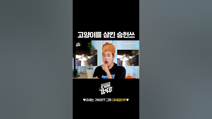 고양이를 삼킨 승헌쓰 #나갈래고양이 #오징어사와