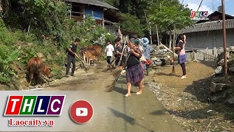 Si Ma Cai tích cực bảo vệ môi trường nông thôn | THLC