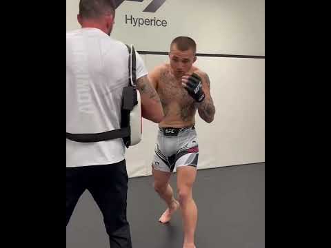 UFC Vegas 47
