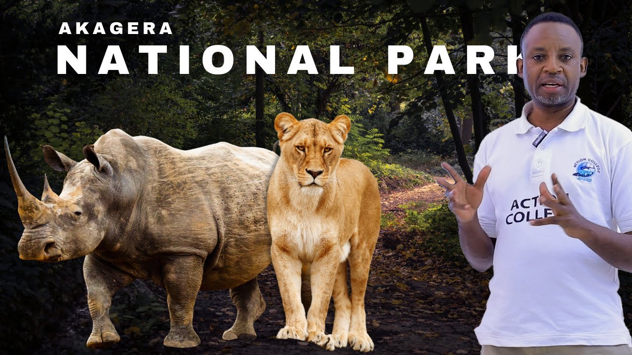 Tourism Class | Akagera National Park | Rwanda's Big Five | Safari ...