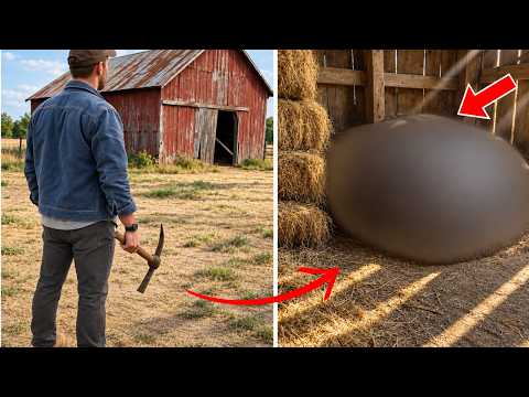 Family Mocks Him for Inheriting an Old Barn… Then He Finds Something Under the Hay