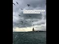 Slow Elifdedim Kurtlarvadisi Duygusal Memati 