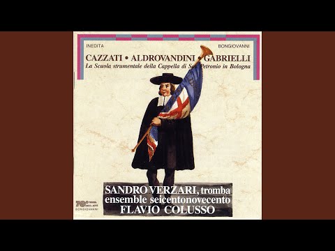 Sleduj Trumpet Sinfonia in D Major: II. Allegro na YouTube