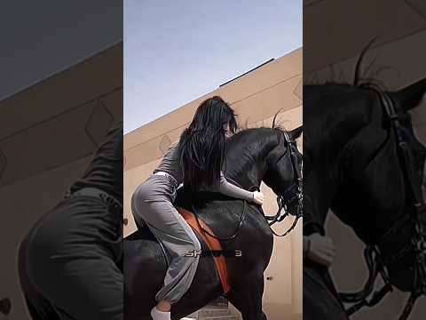 شهد الشمري أناقة الخي الة وجمال المشهد 