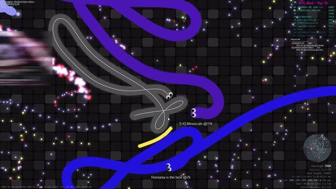 NTL MOD for Slither.io