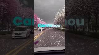 Deixa O Medo Pra Trs aevangelica gospel louvores