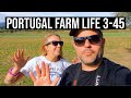 The Simple Farm Life | PORTUGAL FARM LIFE S3-E45