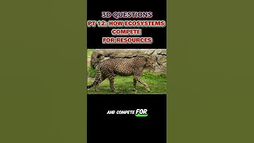 PT 12: 3-D Questions from STEAMspirations: How Ecosystems Compete for Resources 🌳🦁