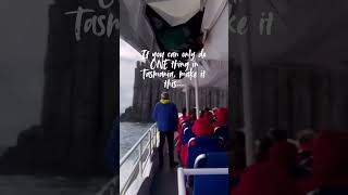 Tasman Island Wilderness Cruise – Tasmania’s Wildest Ride 🌊🐬