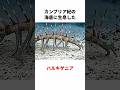 上下逆さまに解釈されていた古代生物「ハルキゲニア」 #生き物 #2ch #動物 #2ch面白いスレ