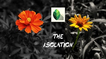 1min Colour isolation tutorial|snapseed editing|edit like a pro#tutorial