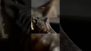 Radagon of the golden order & Elden Beast Cutscene edit #eldenring #radagon #eldenbeast