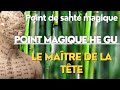 Les points magiques de sant 4 gi hu gu le matre de la tte  cphales douleurs maux de tte