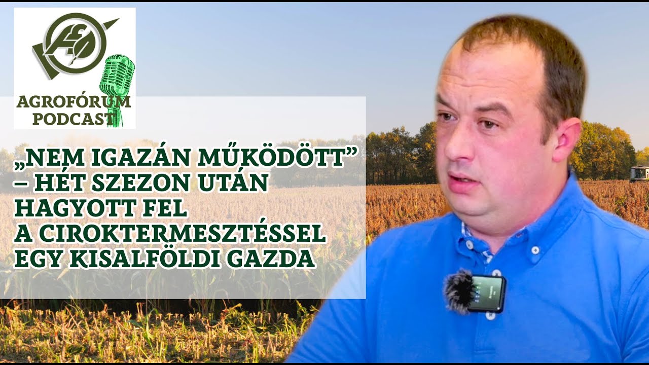 „Nem igazán működött” – hét szezon után hagyott fel a ciroktermesztéssel egy kisalföldi gazda