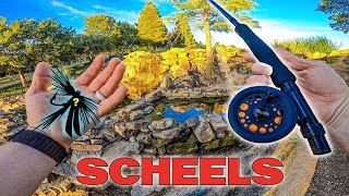 Fly Fishing for Bass on $30 Academy Rod & Reel with **SCHEELS** Flies