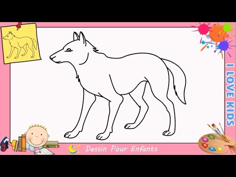 Vidéo: Comment Dessiner Un Loup Par étapes