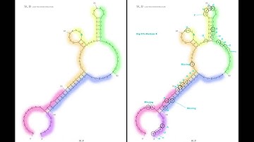 Song of the Hydra and mutation animation