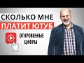 Сколько зарабатывает блогер