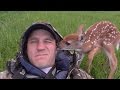 Baby Deer Doesn't Want to Leave Her Rescuer's Side