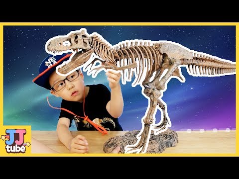 공룡박사 서준이가 공룡뼈 화석을 발굴? 티라노사우르스 화석키트 장난감 놀이 Jurassic Dinosaur T-REX Fossil Toy [제이제이 튜브-JJ tube]