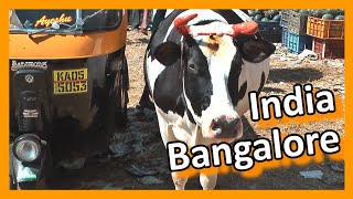 India - Bangalore
